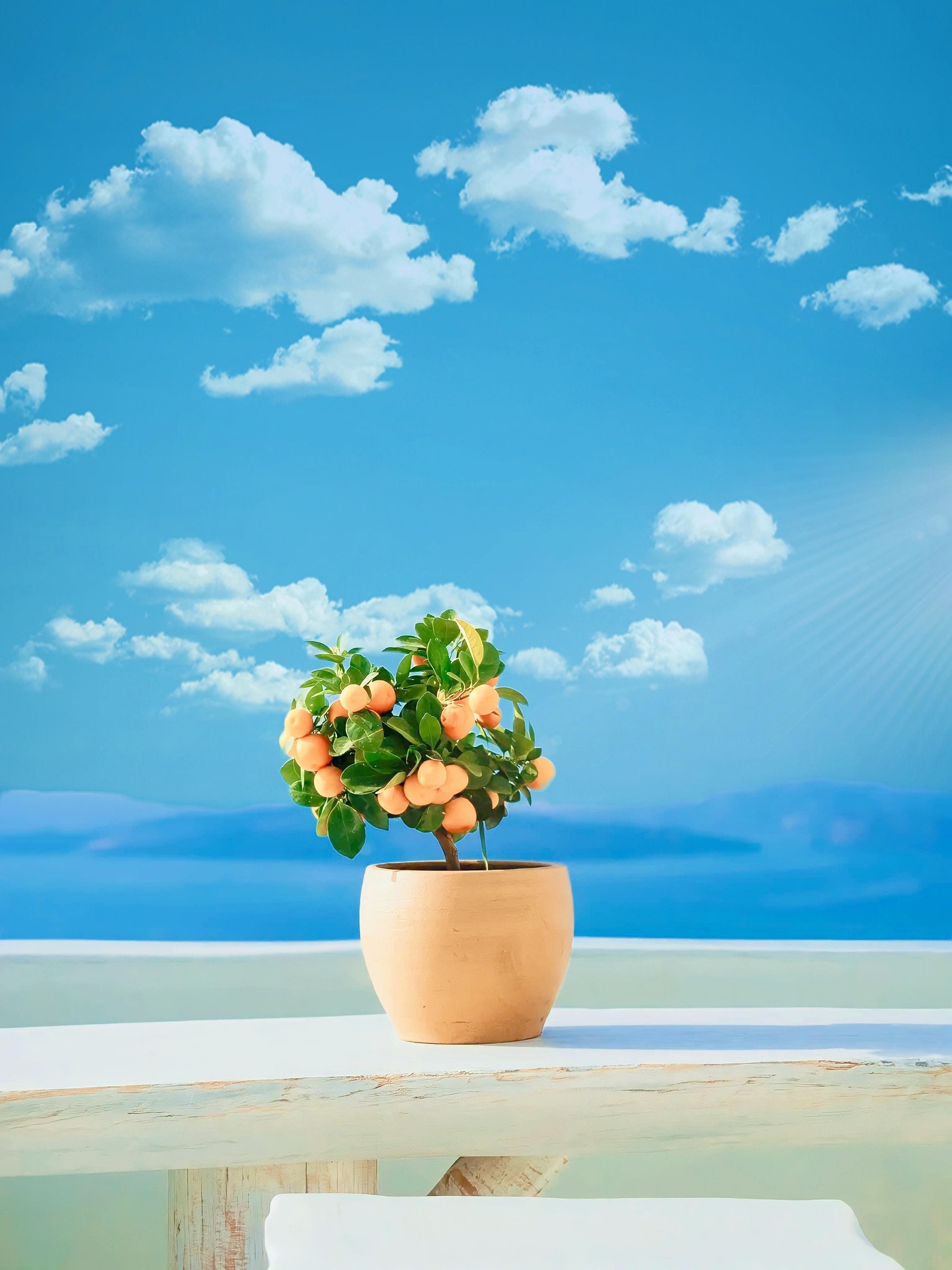 Authentic connections