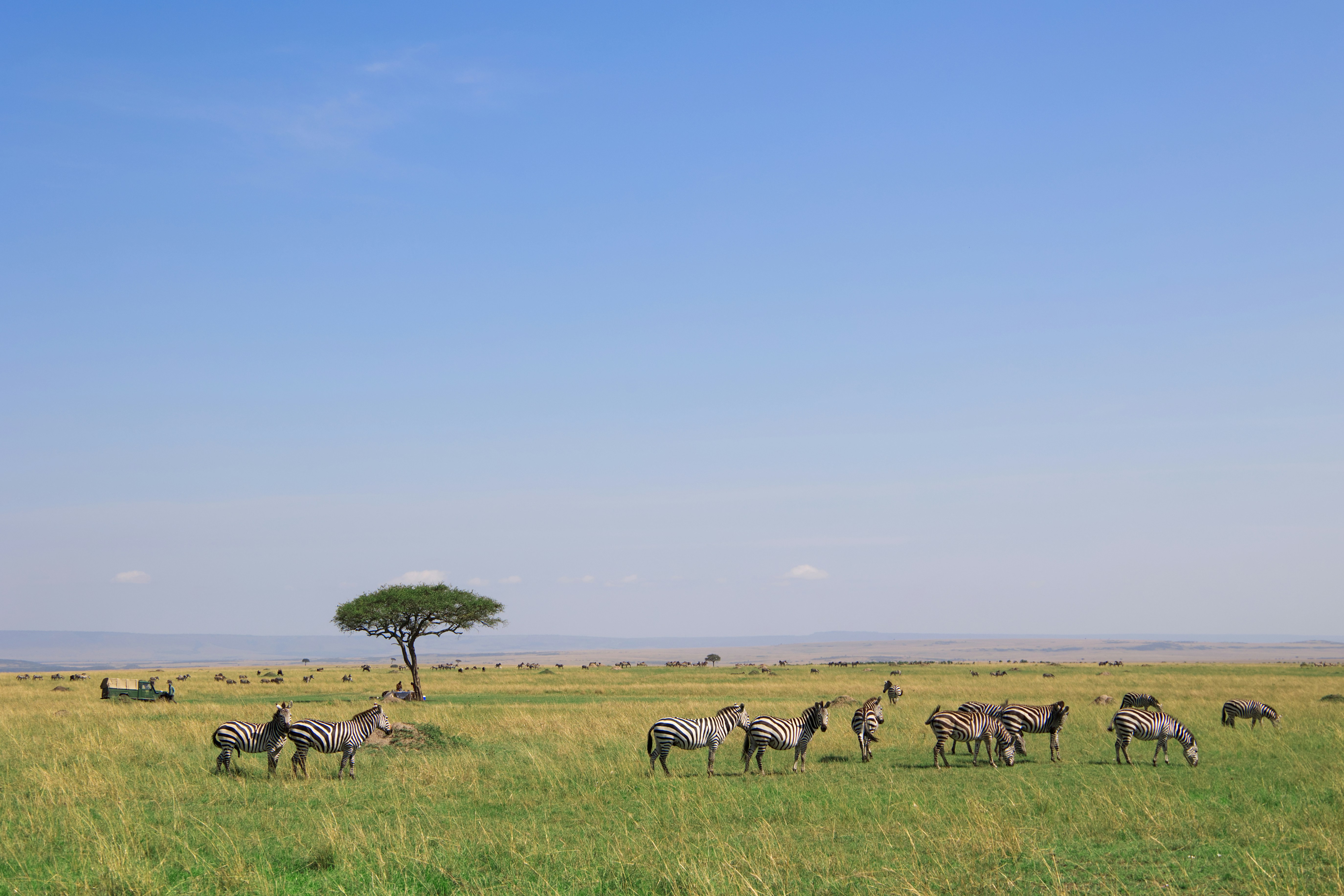 Amboseli National Park