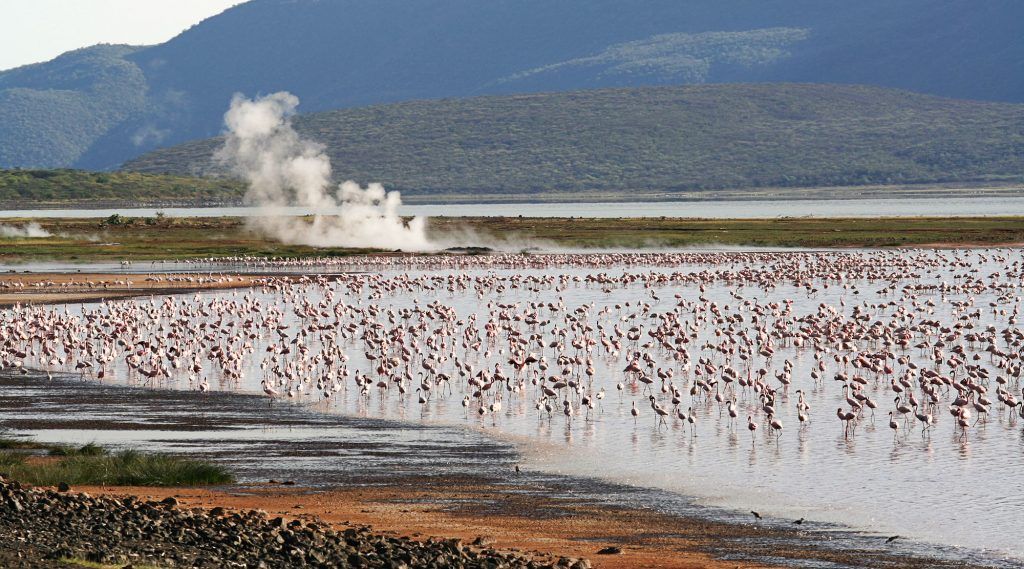 Lake Bogoria