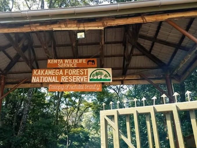 Kakamega Forest