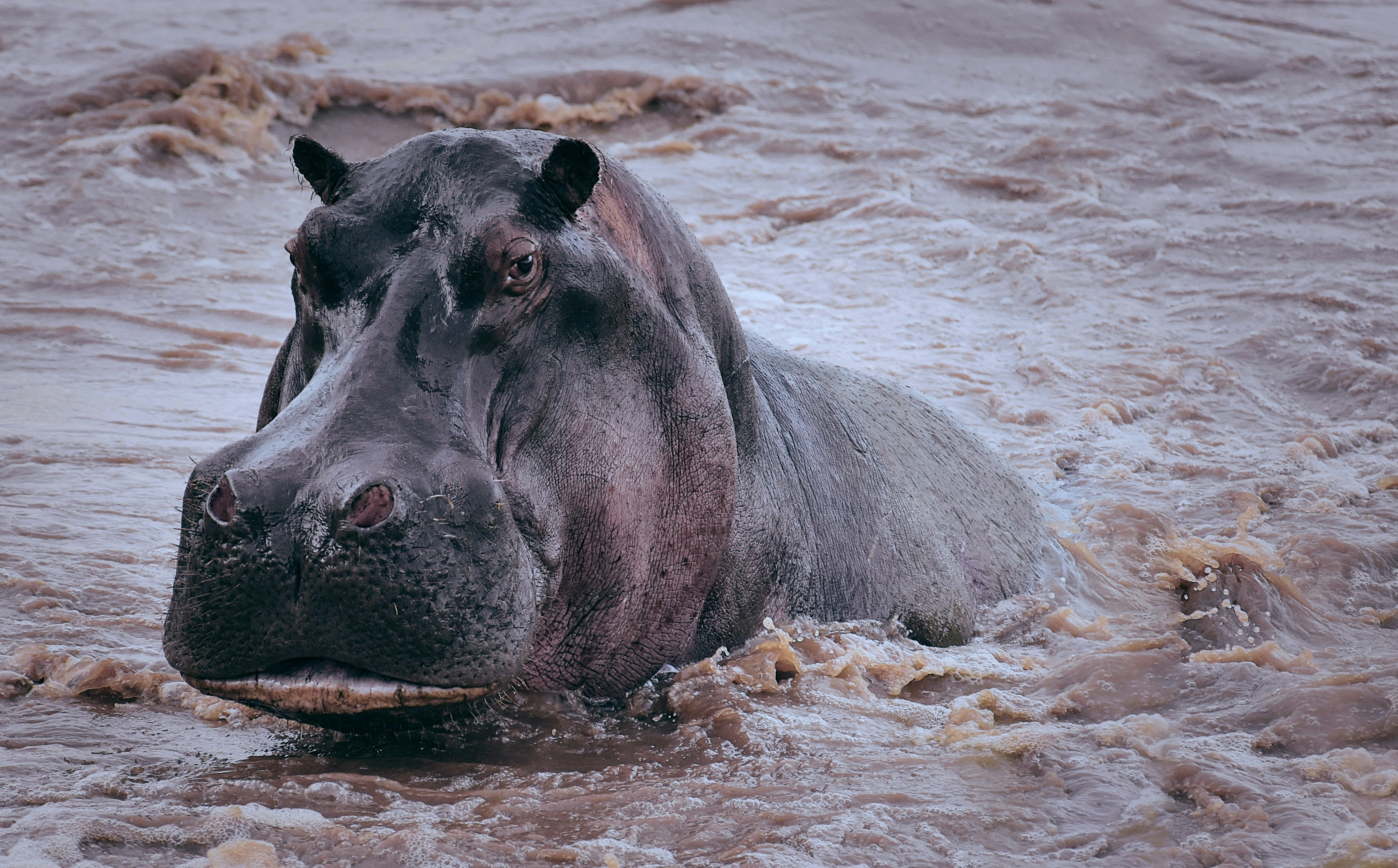Lake Baringo
