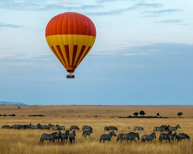 Cool & dry peak safari season in Kenya