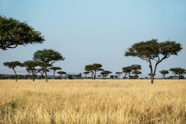 Warm & dry season in Kenya
