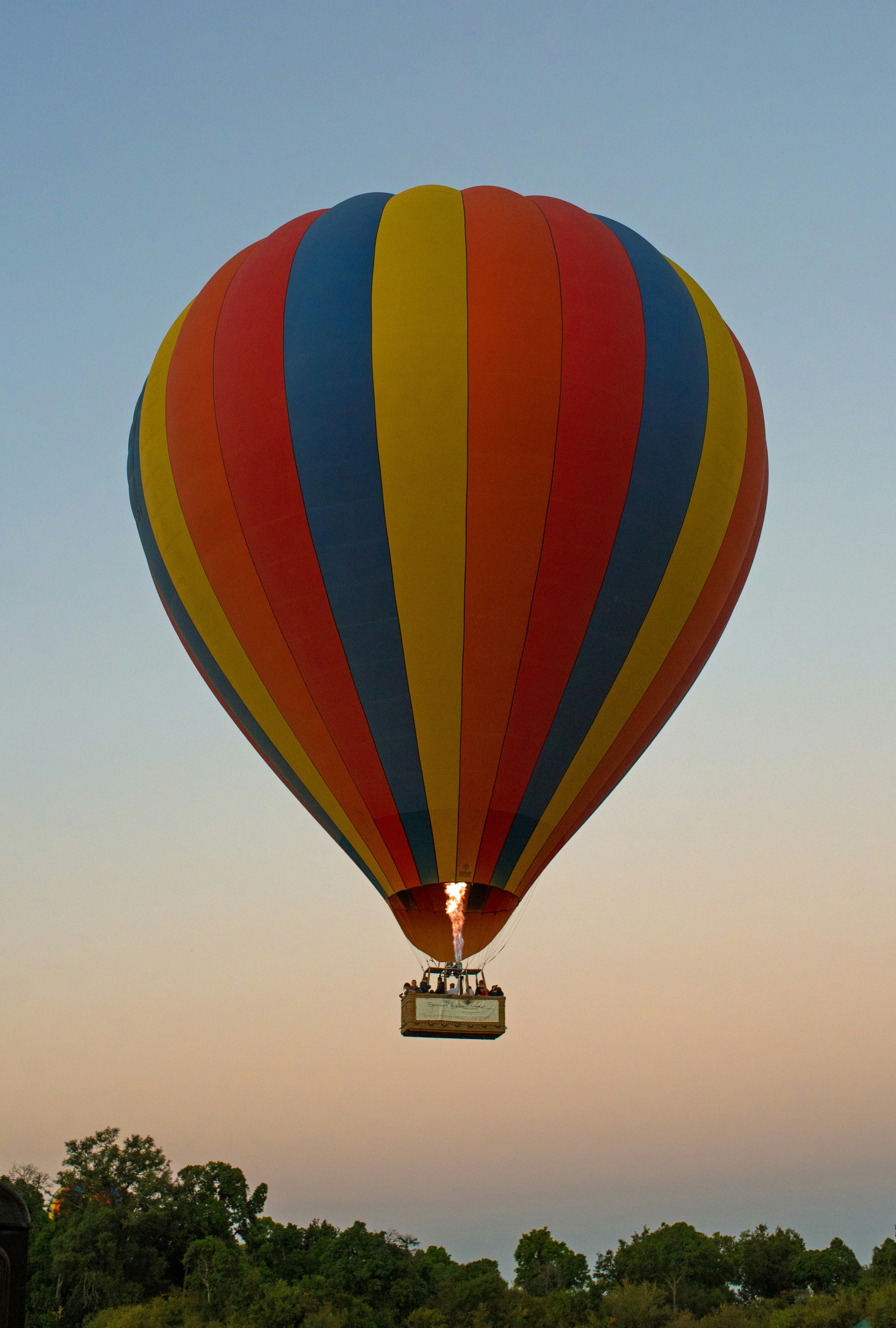 Hot Air Balloon Safari