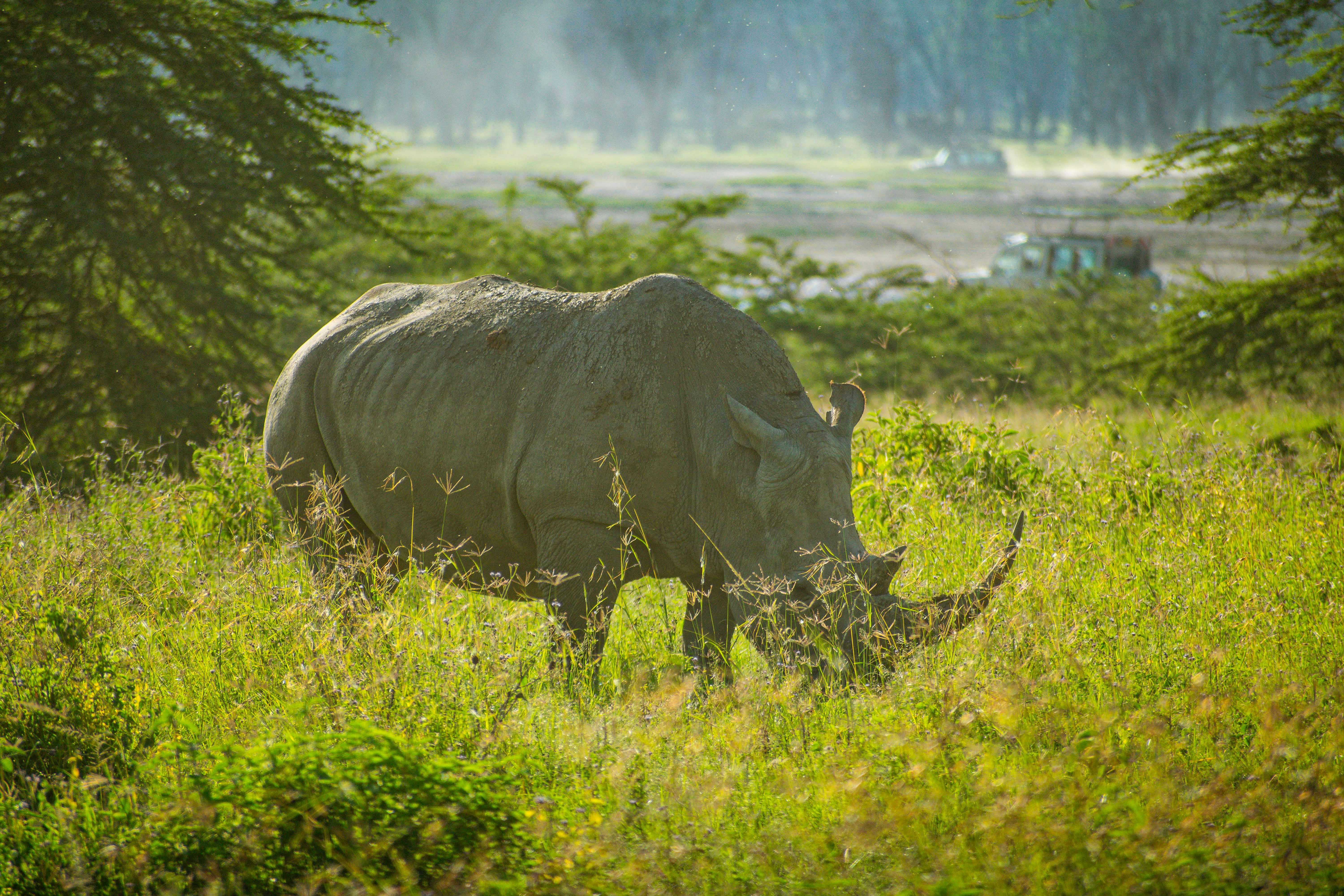 Lake Nakuru National Park