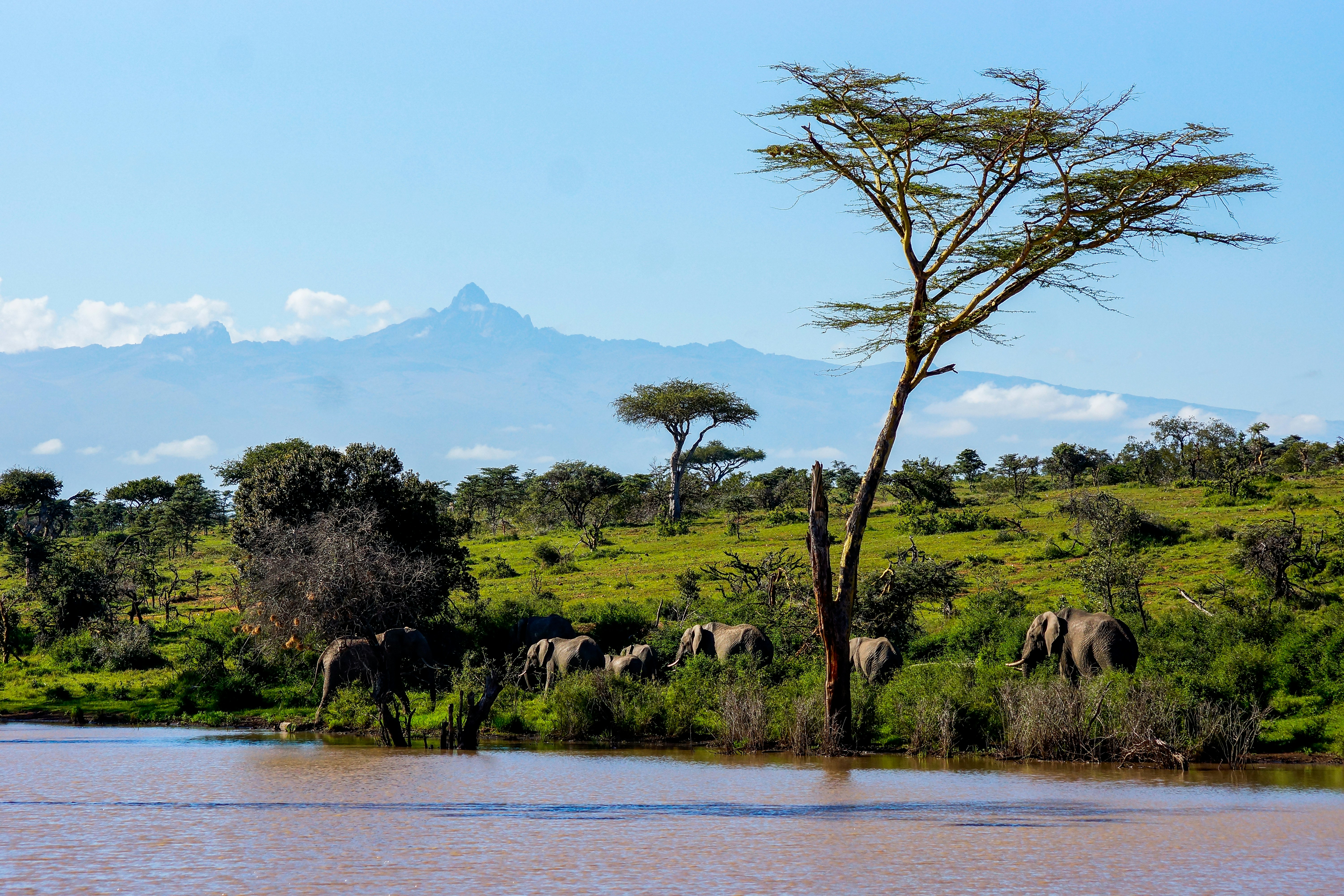 Laikipia Plateau